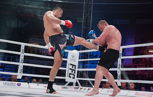 Mladen Brestovac
