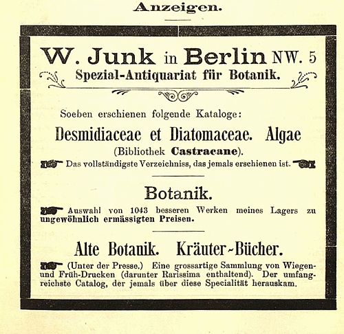 Wilhelm Junk