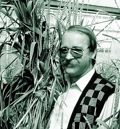 Bent Skovmand