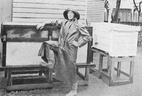Henry Burrell