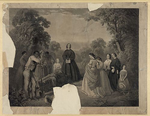 Willoughby Newton