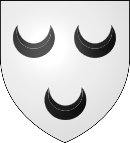 January John III, Lord of Polanen
