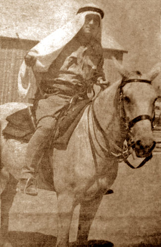 Lewis Andrews