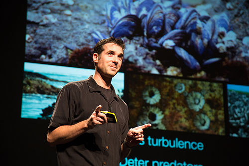 Jonathan Wilker