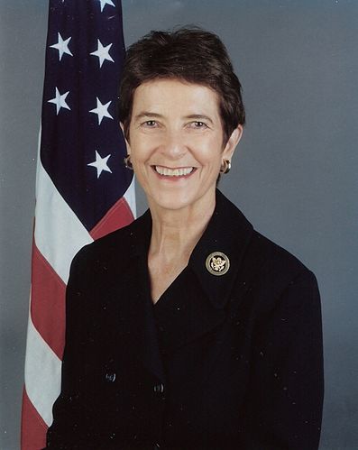 Sue McCourt Cobb