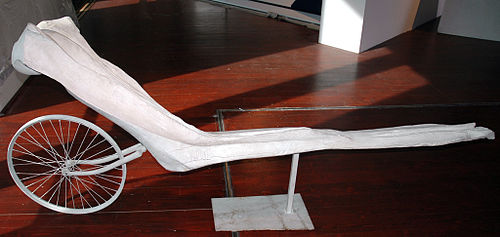Mikulas Medek