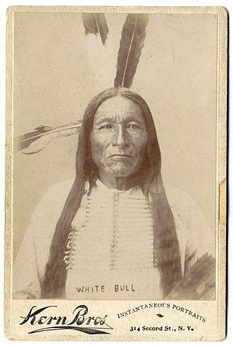 White Bull