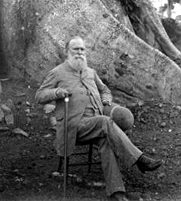William Griffith