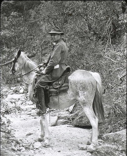 Henry Chandler Cowles