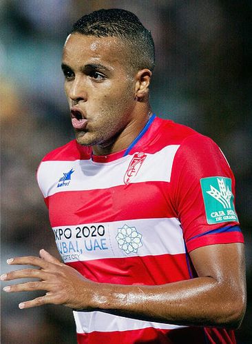 Youssef El-Arabi