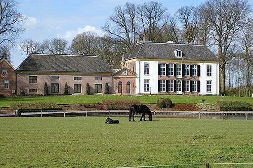 Wilhelmus Wilhelmius