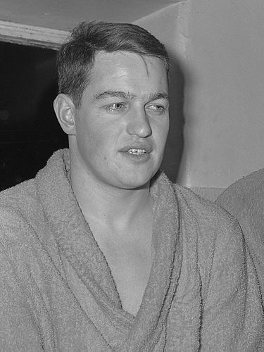 Wim Spingelen