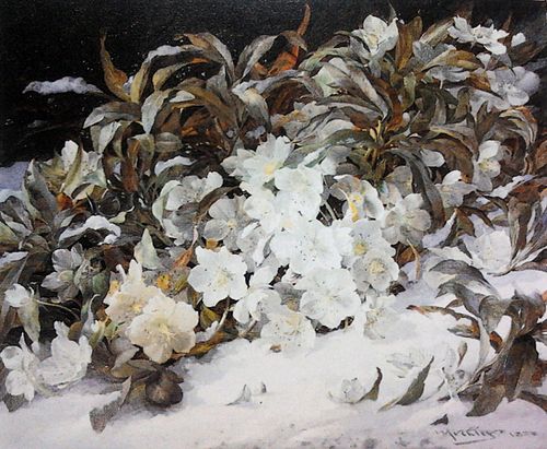 William Muckley