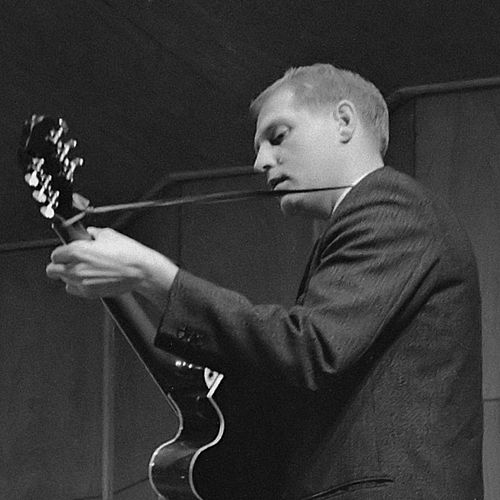 Wim Overgaauw
