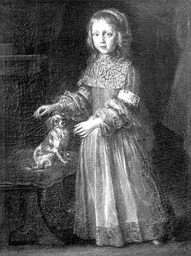 Wolfgang Pfalz-Neuburg