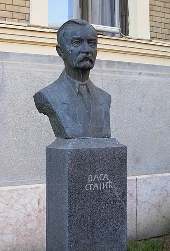 Vasa Stajic
