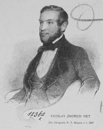 Vaclav Veit
