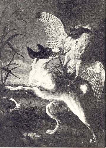 Waclaw Potocki