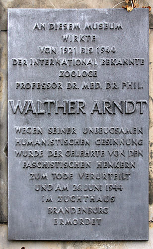 Walter Arndt