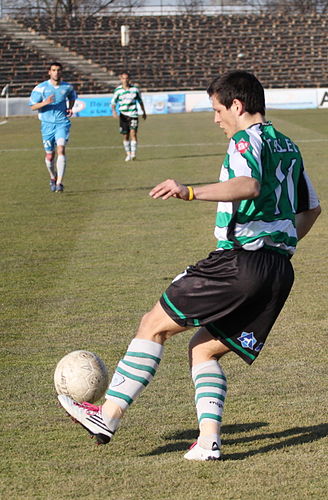 Todor Kolev