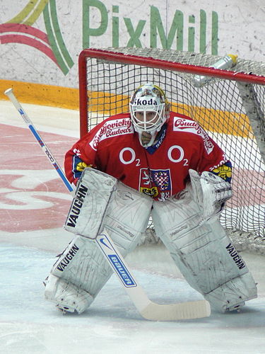 Tomas Duba