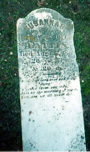 Susannah Lattin