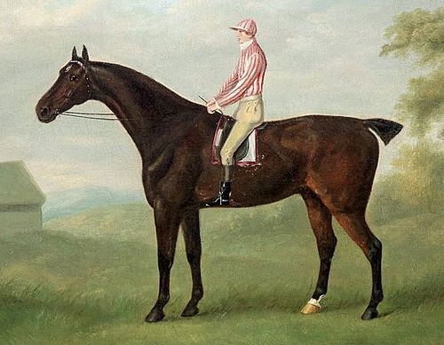 Tom Goodisson
