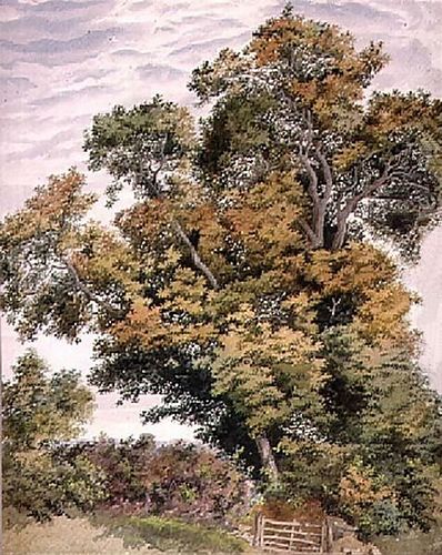 Thomas Collier