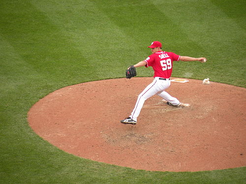 Steven Shell