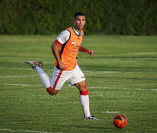 Mehdi Hasheminasab