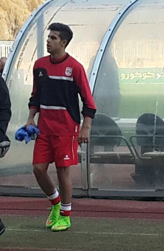 Shahin Saghebi