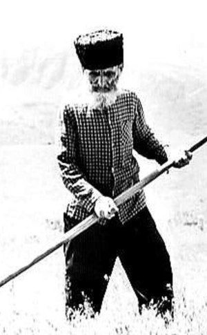 Shirali Muslimov