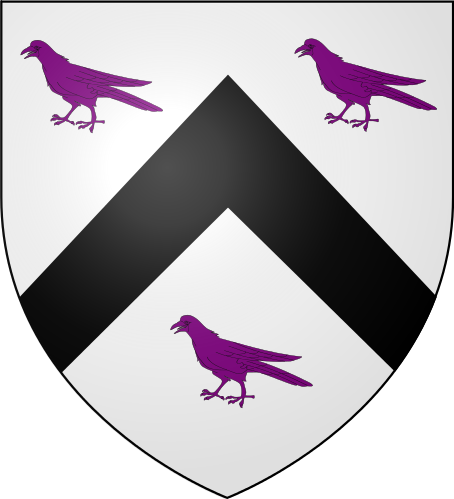 Gruffydd Sir