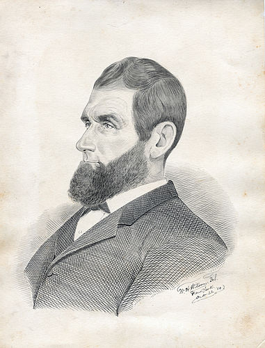Samuel Havre Pine