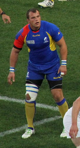 Stelian Burcea
