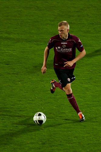 Saulo Decarli