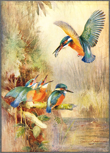 Roland Green