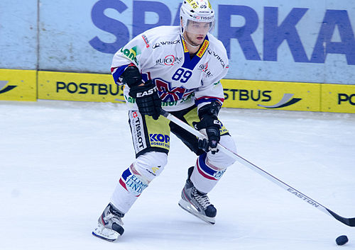 Raphael Herburger