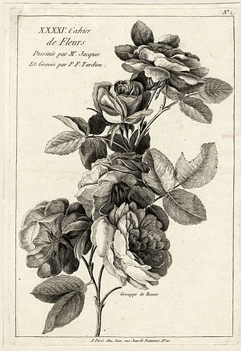 Pierre Francois