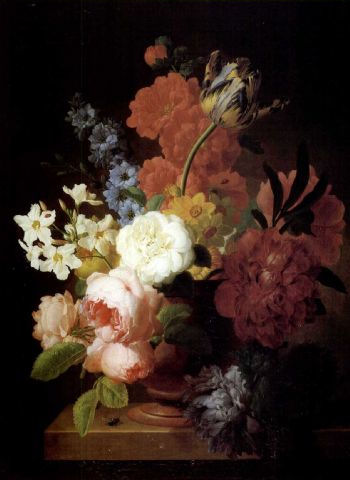 Pieter Faes