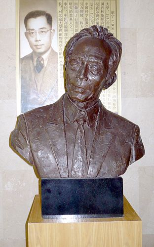 Professor Ning