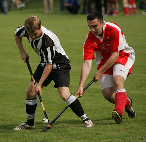 Michael Ritchie