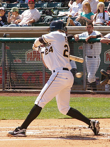 Terry Evans