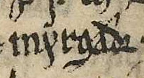 Murchadh MacSuibhne