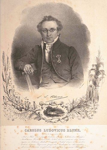 Carl Ludwig