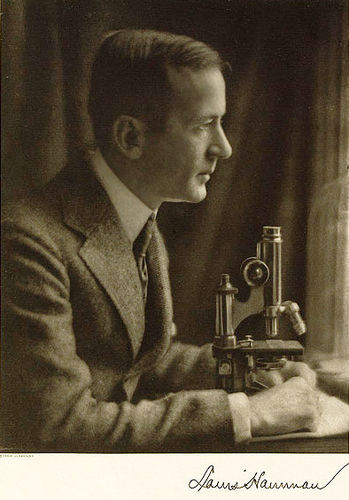 Louis Hamman