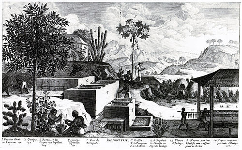 Jean-Baptiste Tertre