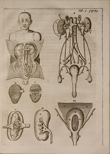 Johann Vesling