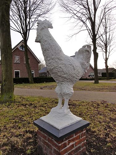 January Dekkers