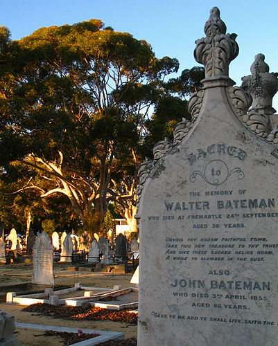 John Bateman